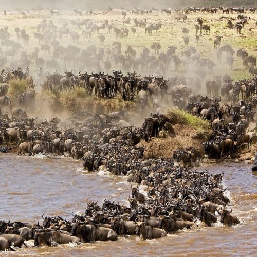 KENYA + ZANZIBAR · 10 DAYS