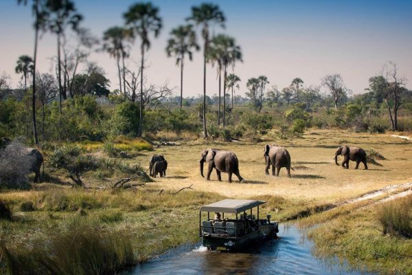 she-wonder-destinations-Botswana-image01