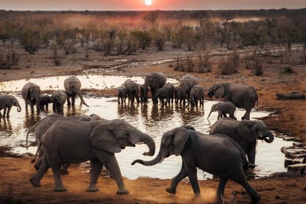 she-wonder-destinations-Namibia-image01