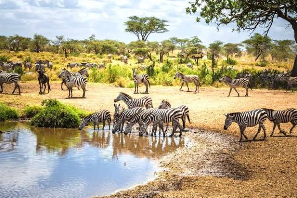 she-wonder-destinations-Tanzania-image01