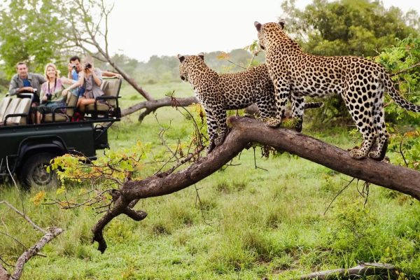she-wonder-destinations-Zimbabwe-image01